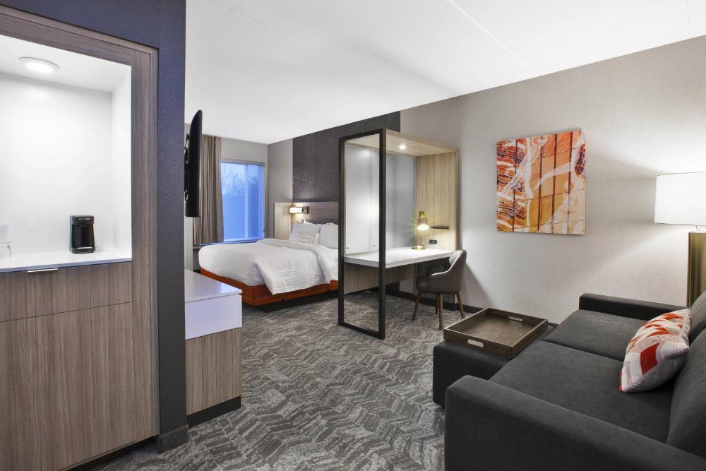King Suite with Trundle Sofa interior